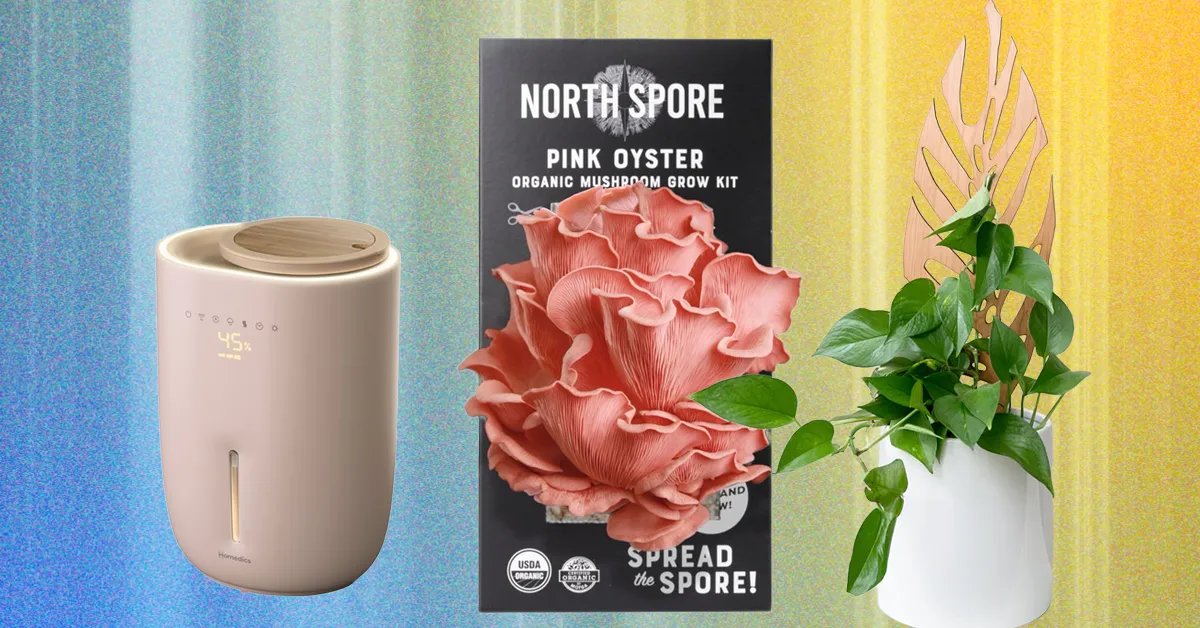The 14 Best Gifts for Plant Lovers We’d Buy Ourselves (2025) The 14 Best Gifts for Plant Lovers We’d Buy Ourselves (2025)