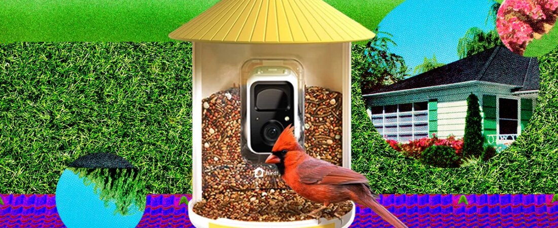The Smart Bird Feeders Everyone’s Talking About (and Actually Buying) (2026)