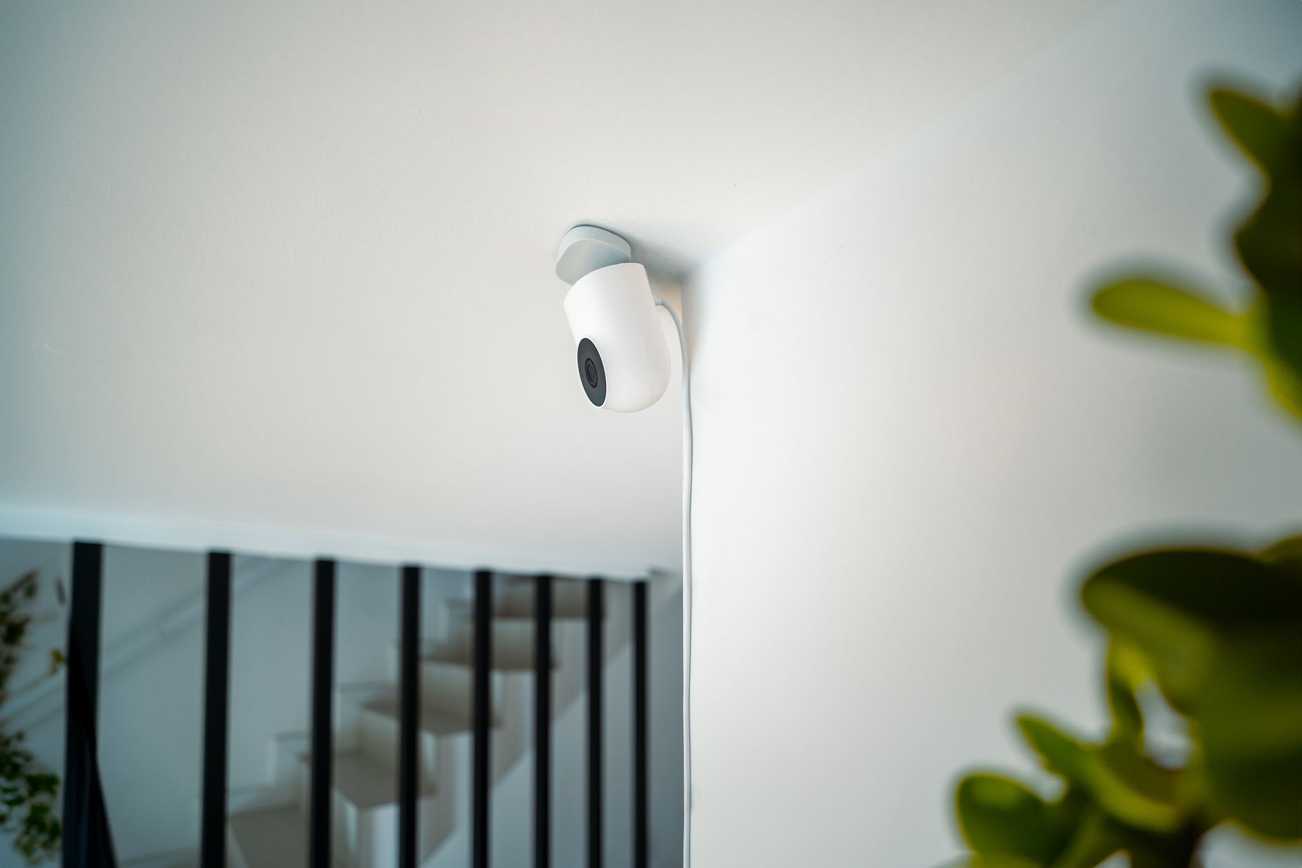 Cable Management Clips - 8 Wireless Video Doorbells on Amazon That Protect Your Front Porch Without Monthly Fees Review